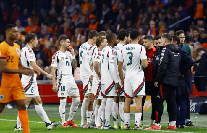 El entrenador asistente Adam Szalai se desploma durante el Holanda-Hungría, la asociación de fútbol da una noticia tranquilizadora: “Su estado es estable y está consciente”