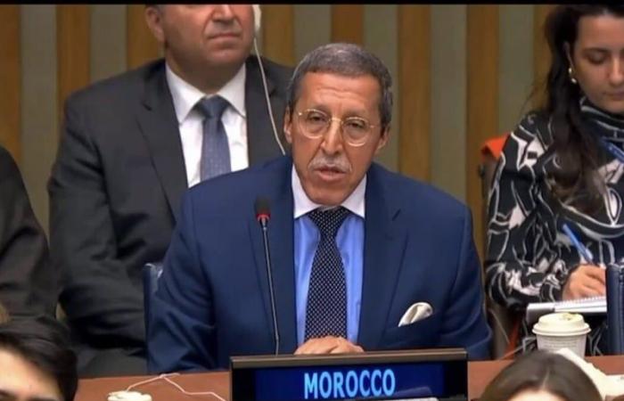 Omar Hilale nombrado copresidente del Foro ECOSOC