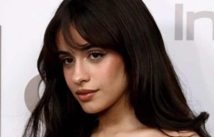 Camila Cabello se toma un descanso de las redes sociales y sus fans están desconsolados