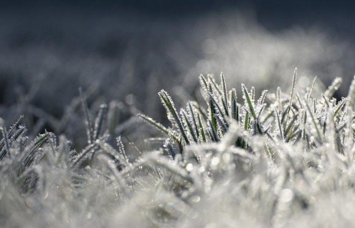 “Va a caer una masa de aire polar”: sensación de “helado”, nevadas en las llanuras, aguanieve, fuertes ráfagas de viento… se espera tiempo invernal la próxima semana