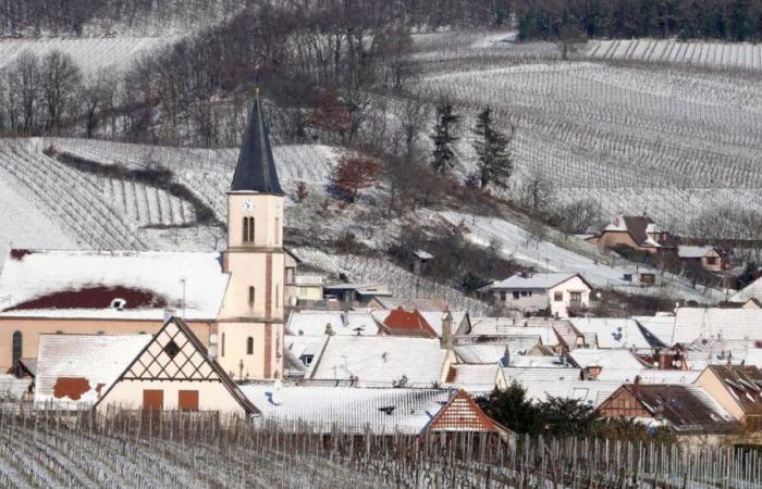 Clima: nieve en las llanuras, lluvia, más temperaturas invernales, ¿qué nos espera esta semana?