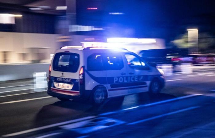 Un hombre asesinado por la policía tras “amenazar” a los agentes con un “arma” en Val-de-Marne