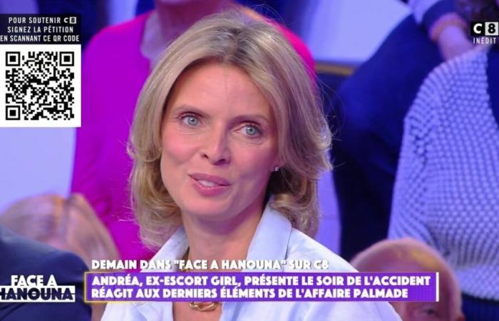 “No tomé 12 millones de euros”: Sylvie Tellier recuerda las circunstancias de su salida del Miss Francia