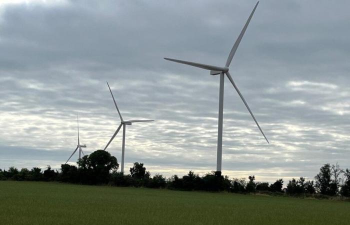 Un proyecto fotovoltaico degradado, una ambición eólica que no va muy bien