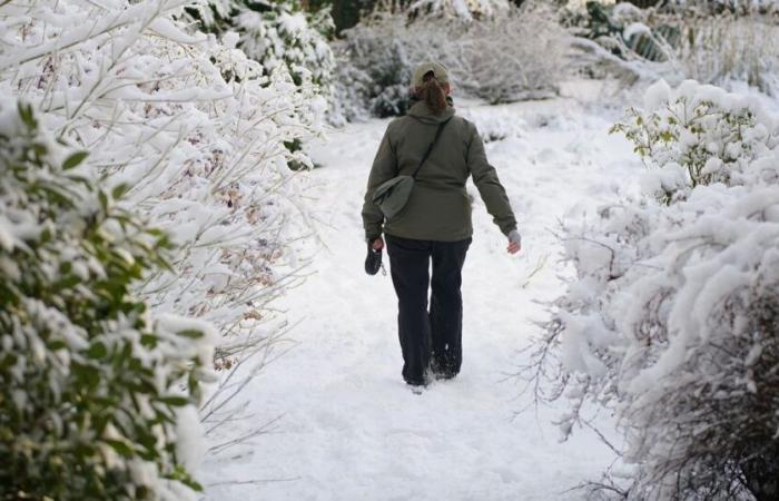 Advertencia de nieve y hielo para Merseyside a medida que se actualizan los problemas de Met Office