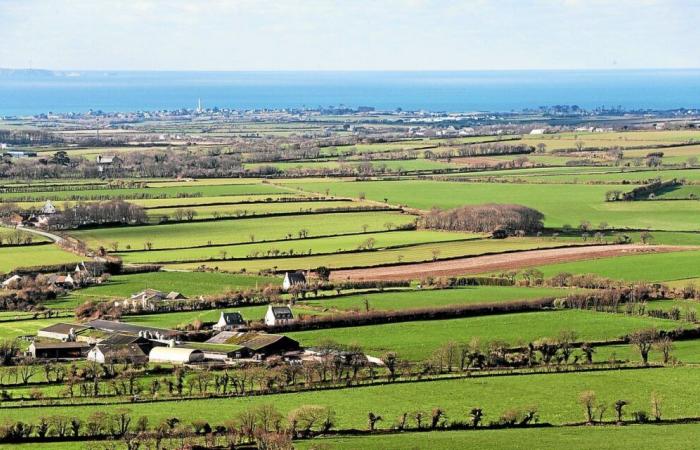 Hace más de 50 años, la concentración parcelaria transformó el paisaje bretón: ¿progreso a qué precio?