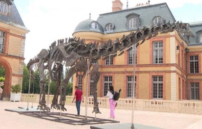 Un coleccionista paga una enorme suma para comprar el esqueleto del dinosaurio más grande jamás subastado en Francia