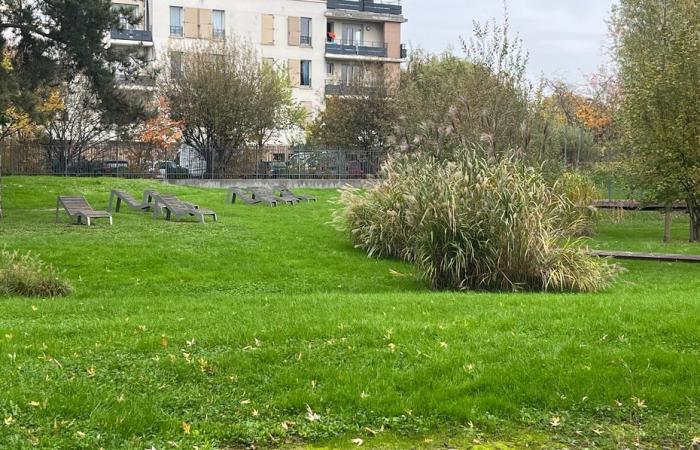 INFORMES. Inundaciones, crecida del Sena… ¿Está el Gran París preparado para afrontar lluvias torrenciales como en España?