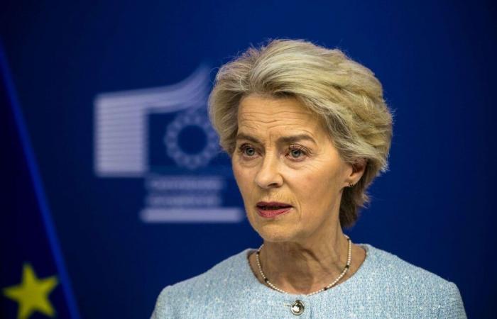 Para Ursula von der Leyen, el fin de las negociaciones con Mercosur se acerca pese a la oposición de París