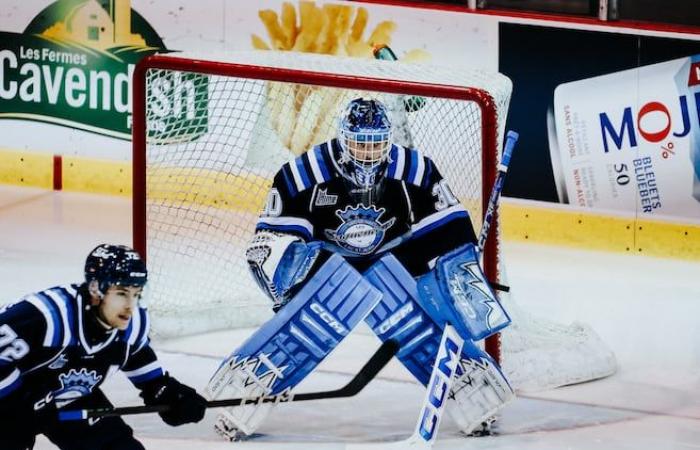 Partido de perritos sin goles para los Saguenéens