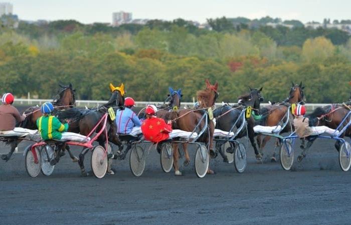 Predicciones de carreras de caballos para el lunes 18 de noviembre de 2024