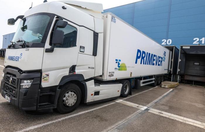 Primver despliega su actividad a nivel internacional en la terminal frutícola del puerto de Sète (Hérault)