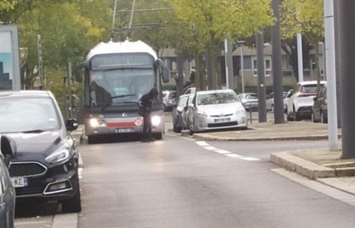 Los autobuses ya no llegan a la Ciudad Nueva