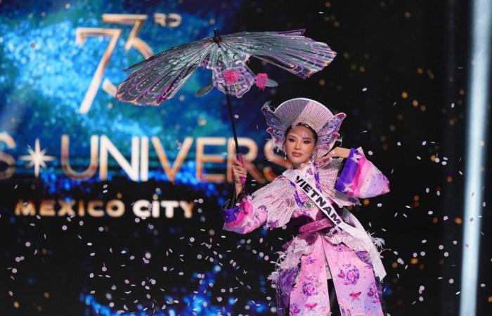 Miss Universo 2024: mira los mejores trajes nacionales