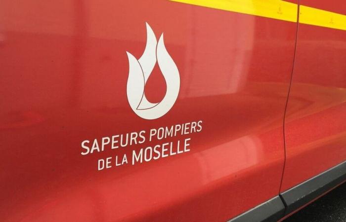 Incendio en el centro de la ciudad de Metz: casi un centenar de bomberos implicados