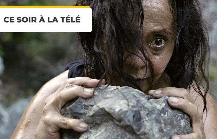 ¿Un deseo de escándalo? ¡Esta Palma de Oro está hecha para ti! – Noticias de cine