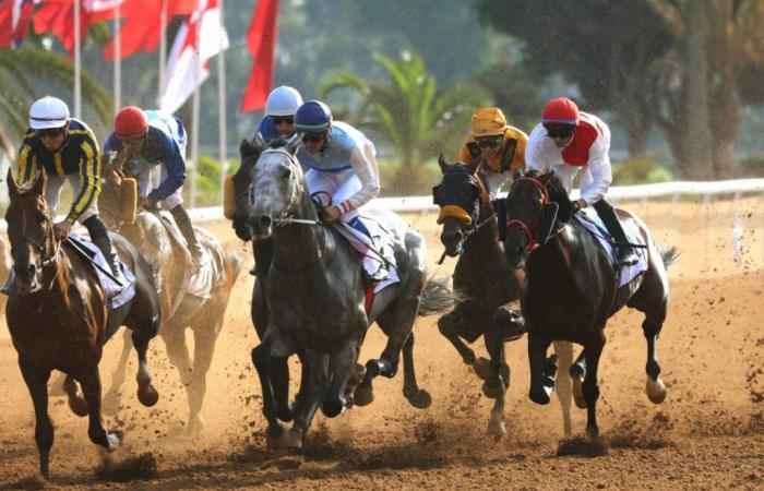 Encuentro Internacional de Marruecos: el caballo “Al Othmane” brilla durante el primer día