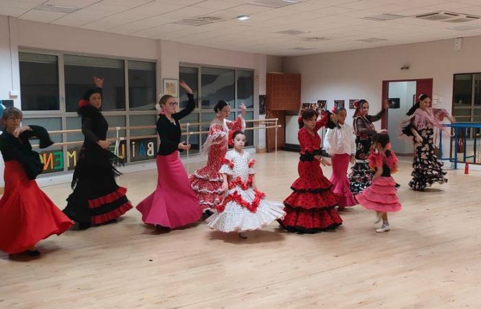 El Pasaje. “Baile Flamenco” conmemora el Día Internacional del Flamenco