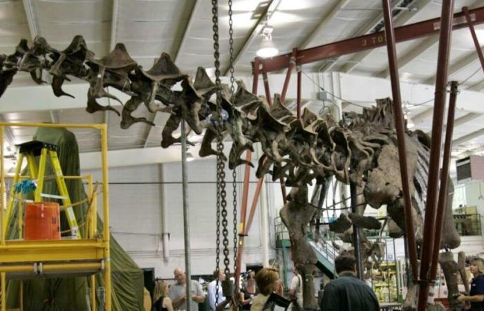 Un esqueleto de dinosaurio gigante vendido por 4,7 millones de euros