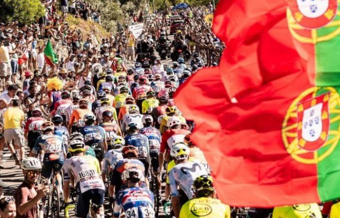 Ciclismo. Dopaje – La impactante investigación sobre el ciclismo en Portugal… ¡dopaje y corrupción!