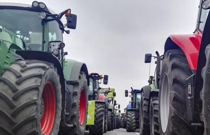 Los agricultores de Vaucluse anuncian nuevos bloqueos en Aviñón