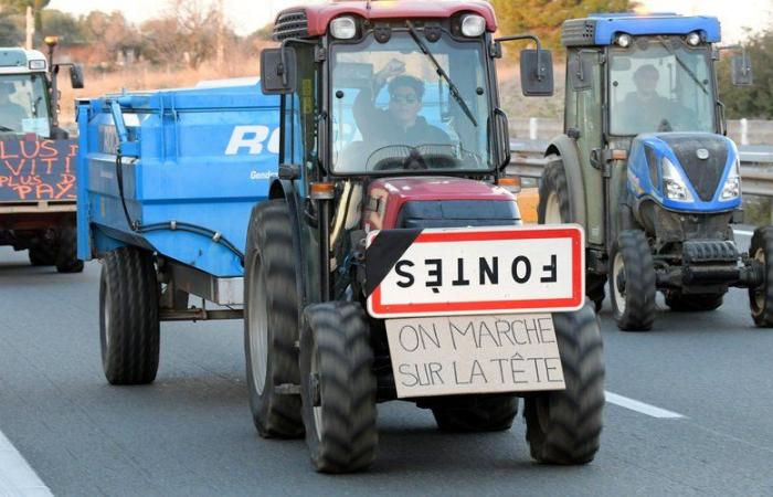 Agricultores enojados se movilizan este lunes frente a la prefectura de Hérault, en Montpellier