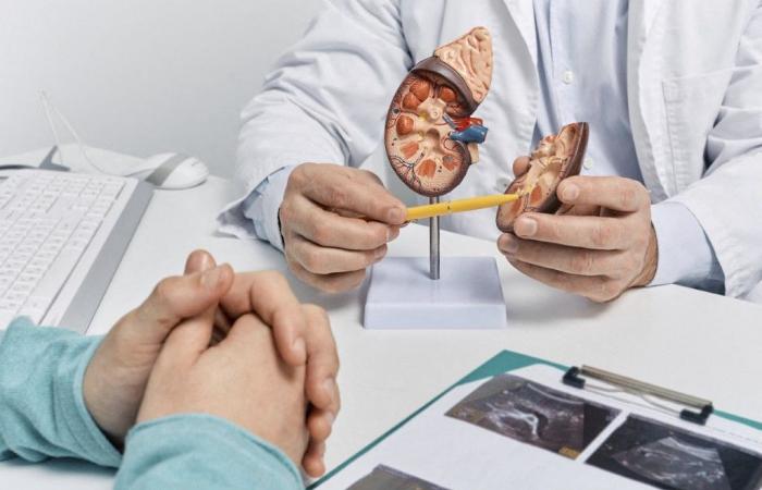 RTL Infos – Letz Be Healthy: Urología: en el centro de la prevención y el tratamiento del cáncer de próstata