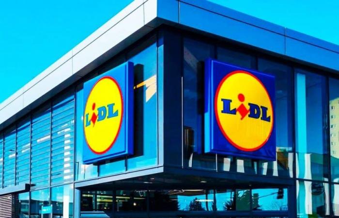 Prepara tus mejores sopas de invierno con estas cazuelas de LIDL por menos de 30 euros