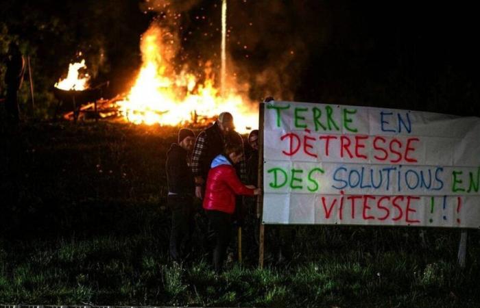 ¿Apoyas a los agricultores enojados?