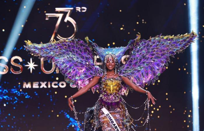 Miss Universo 2024: mira los mejores trajes nacionales