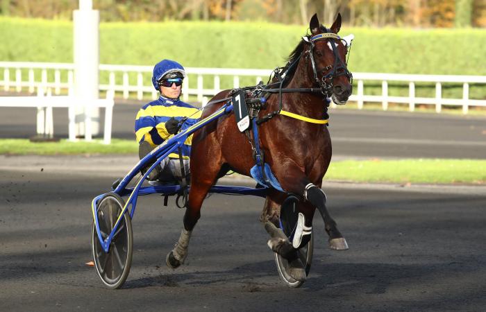 El Top 3 de periodistas de Equidia para el Prix de BretagneAmérique Races Q1 en Vincennes