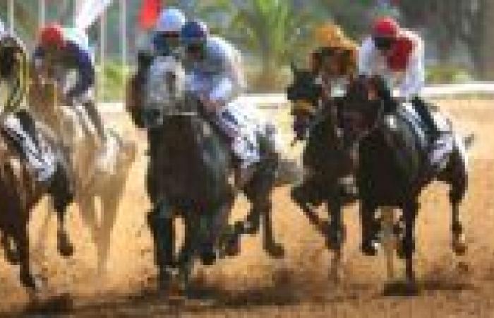 Encuentro Internacional de Marruecos: el caballo “Al Othmane” brilla durante el primer día