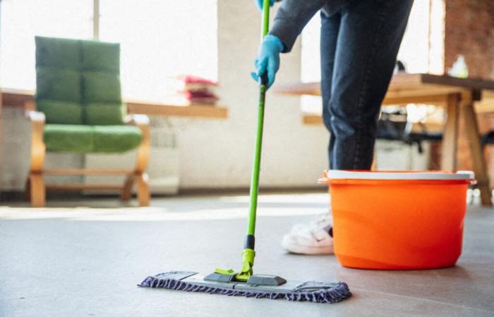 La Compagnie des Lavandières organiza una jornada de trabajo para contratar asistentes domésticos permanentes