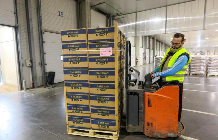 Primver despliega su actividad a nivel internacional en la terminal frutícola del puerto de Sète (Hérault)