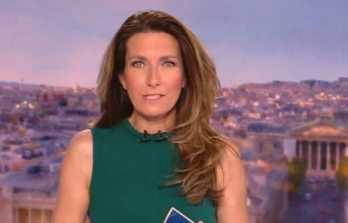 Audiencias 20 h: diferencia récord entre Anne-Claire Coudray y Laurent Delahousse, ya que TF1 factura 2,3 millones más que France 2 por su periódico