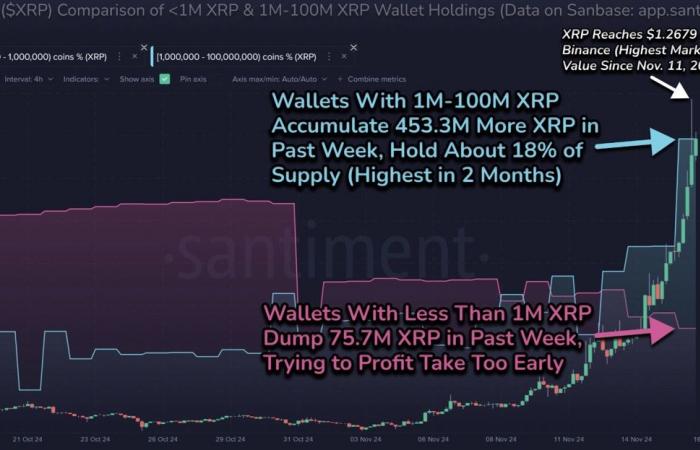 El precio de XRP retrocede un 20% después de alcanzar un máximo de varios años: ¿está la cima?