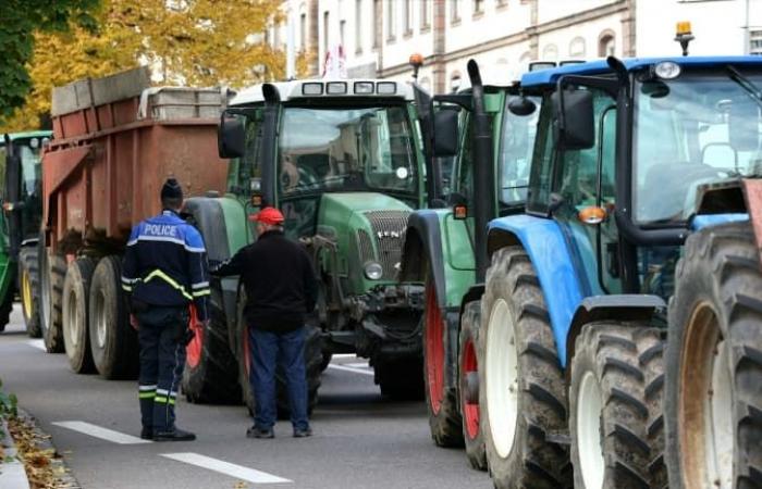 A10, N118… Los puntos de bloqueo previstos por los agricultores para la movilización en Île-de-France este domingo