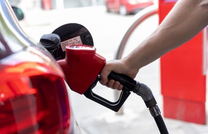 ¿Qué futuro para la gasolina sintética?