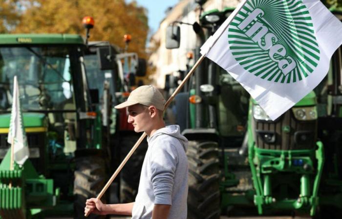 convoyes de tractores, concentraciones, bloqueos de mercancías… ¿Qué podemos esperar de este domingo y de la semana que viene?