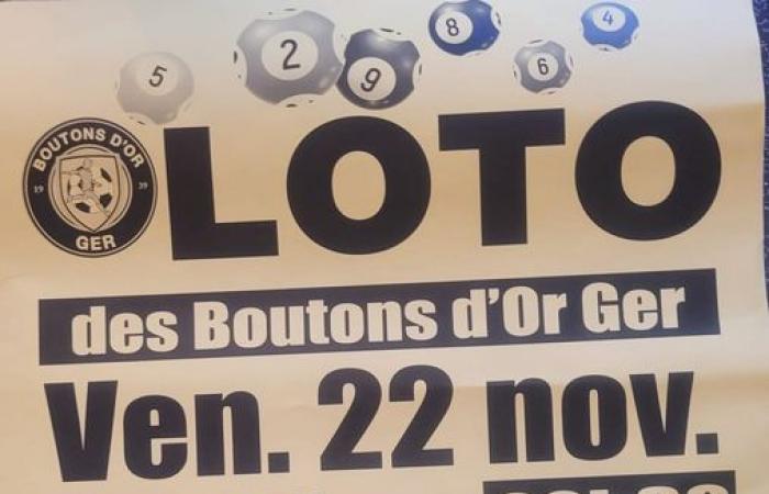 Ger Buttercup Loto el 22 de noviembre – LOURDES-ACTU