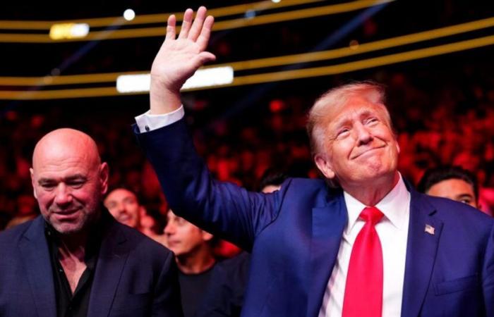 Elecciones presidenciales en Estados Unidos: Donald Trump y MMA, un amor mutuo