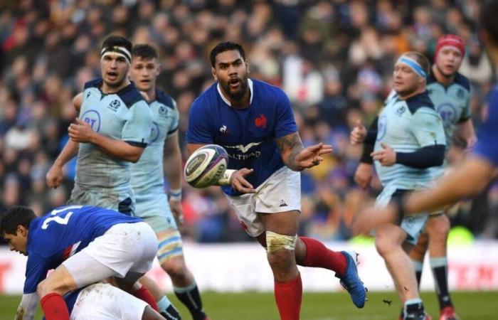 XV de Francia. Romain Taofifenua y Tevita Tatafu lesionados con los Blues ante los All Blacks