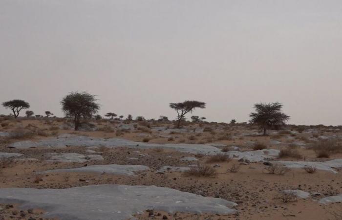 Incluye más de 10.000 grabados rupestres. Descubre el sitio arqueológico de Laghchiwate en la provincia de Es-Semara