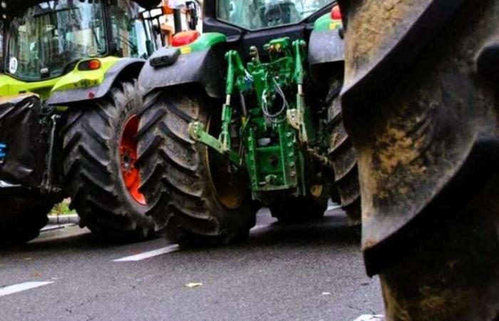 Ira de los agricultores. Acciones anunciadas en Tarn-et-Garonne: aquí es dónde y cuándo