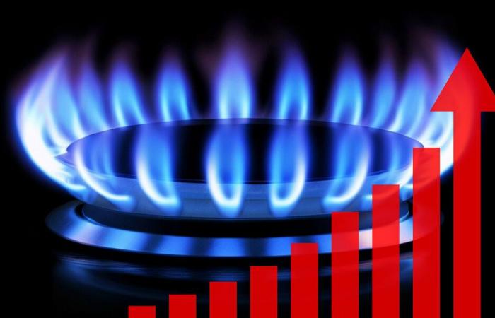 Gas – El precio de referencia vuelve a subir en diciembre – Noticias