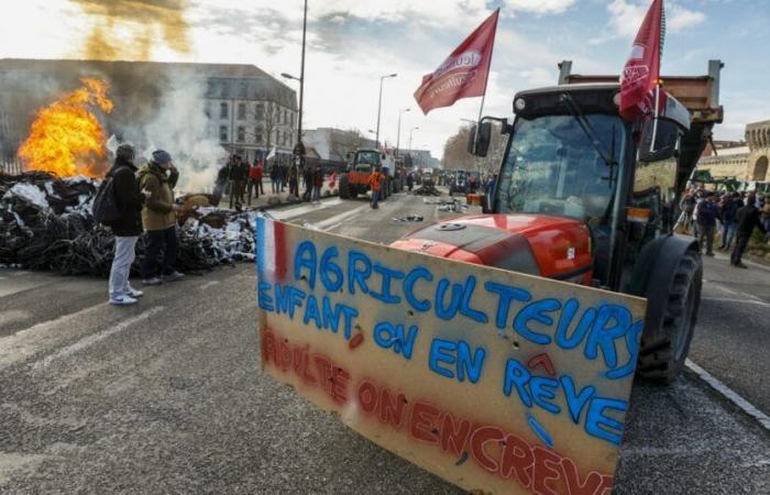 Vaucluse. Lunes 18 de noviembre, los agricultores deberían bloquear los puentes Europa y Daladier