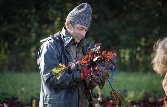 En Charente-Maritime, el éxito de los proyectos participativos en las explotaciones agrícolas.