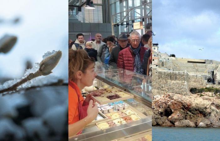 Nombres en el Théâtre de la Mer, aglomeraciones de visitantes en las salas de Béziers, descenso de las temperaturas: las principales novedades de la región