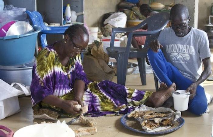 “La muerte ya no da miedo”: en Senegal, el éxodo por el océano | La crisis migratoria