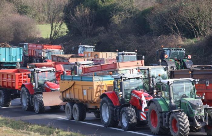 Los agricultores anunciaron en tres rotondas.